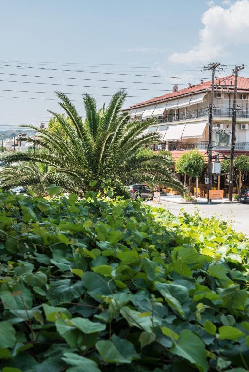 Hotel Alexandros ネイポリ 部屋 写真